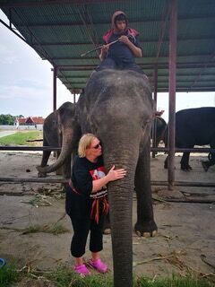 Lessons from my elephant #1