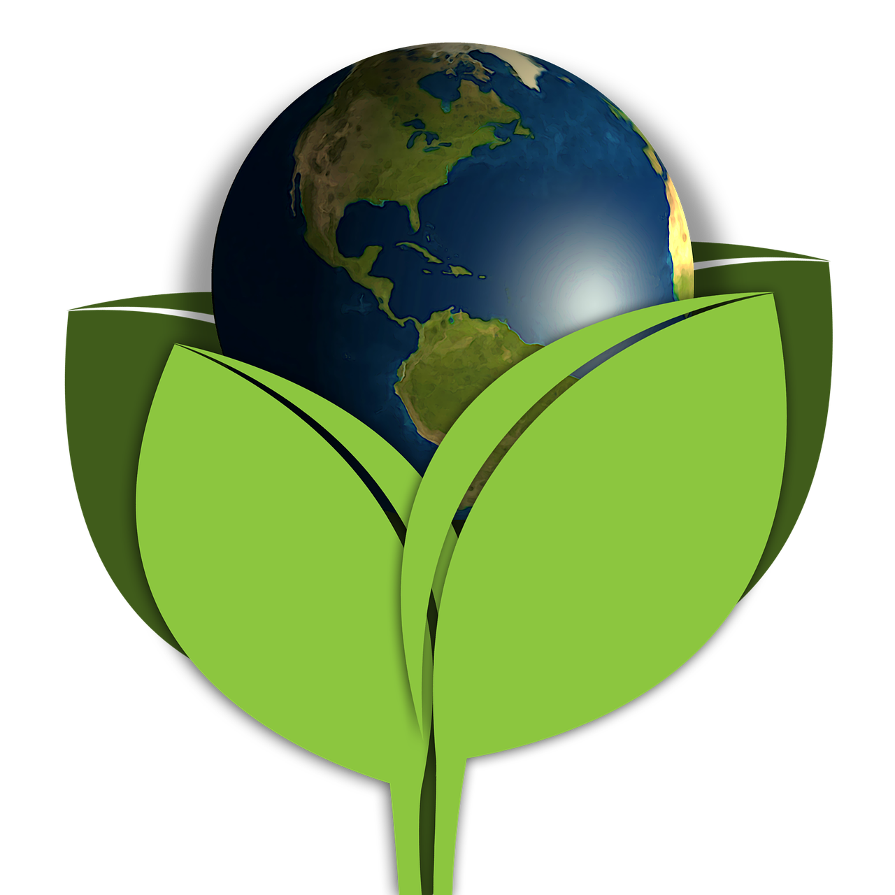 Life Coaching: The Biology of Belief